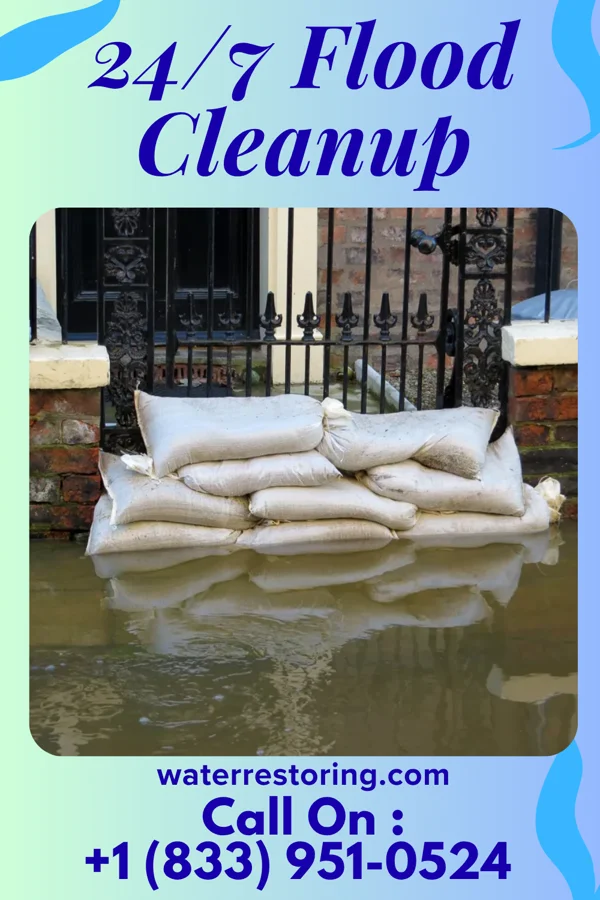 24/7 Flood Cleanup in Arden, DE