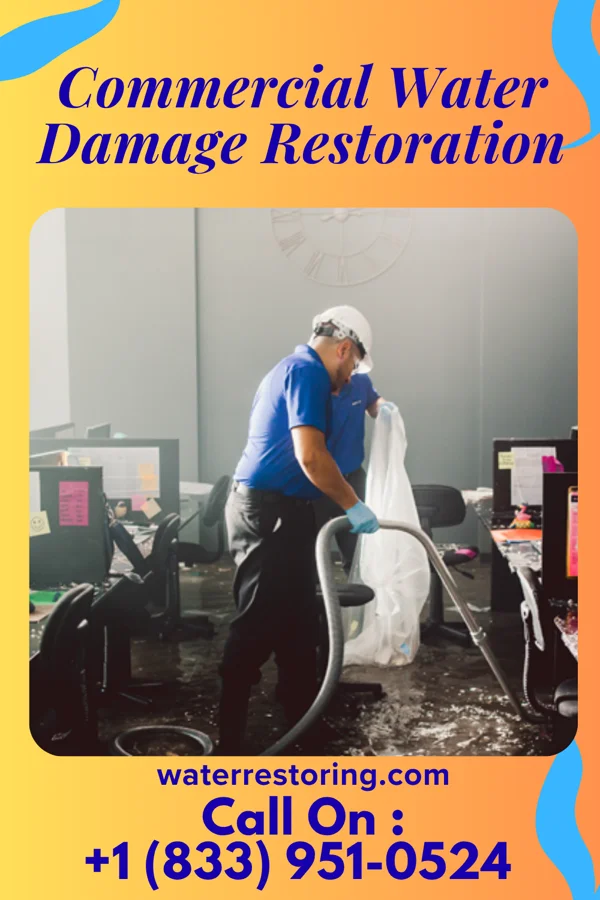 Commercial Water Damage Restoration in Arden, DE