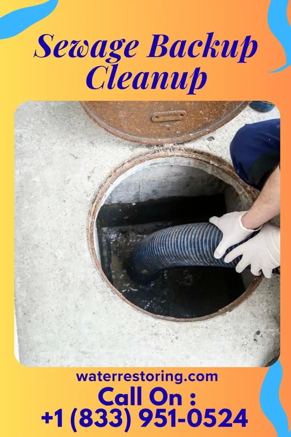 Sewage Backup Cleanup in Arden, DE