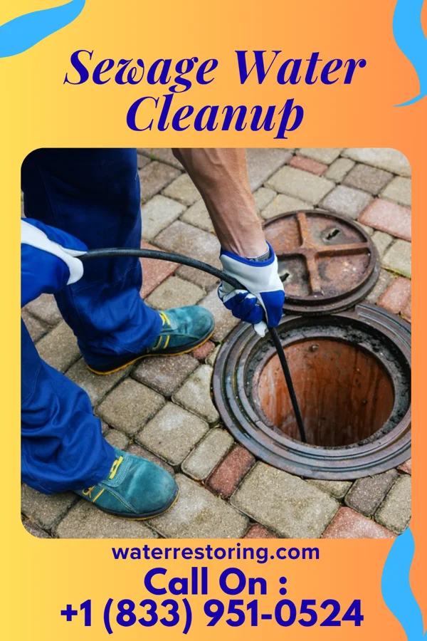 Sewage Water Cleanup in Arden, DE